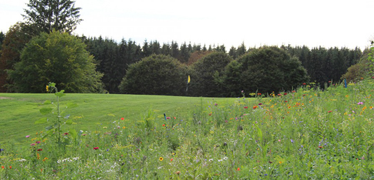 Golfclub Tutzing e.V.